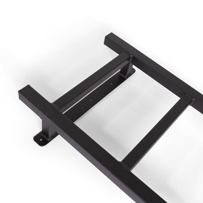 07+ Sprinter Van HD Passenger Side Rear Door Ladder - Low Roof