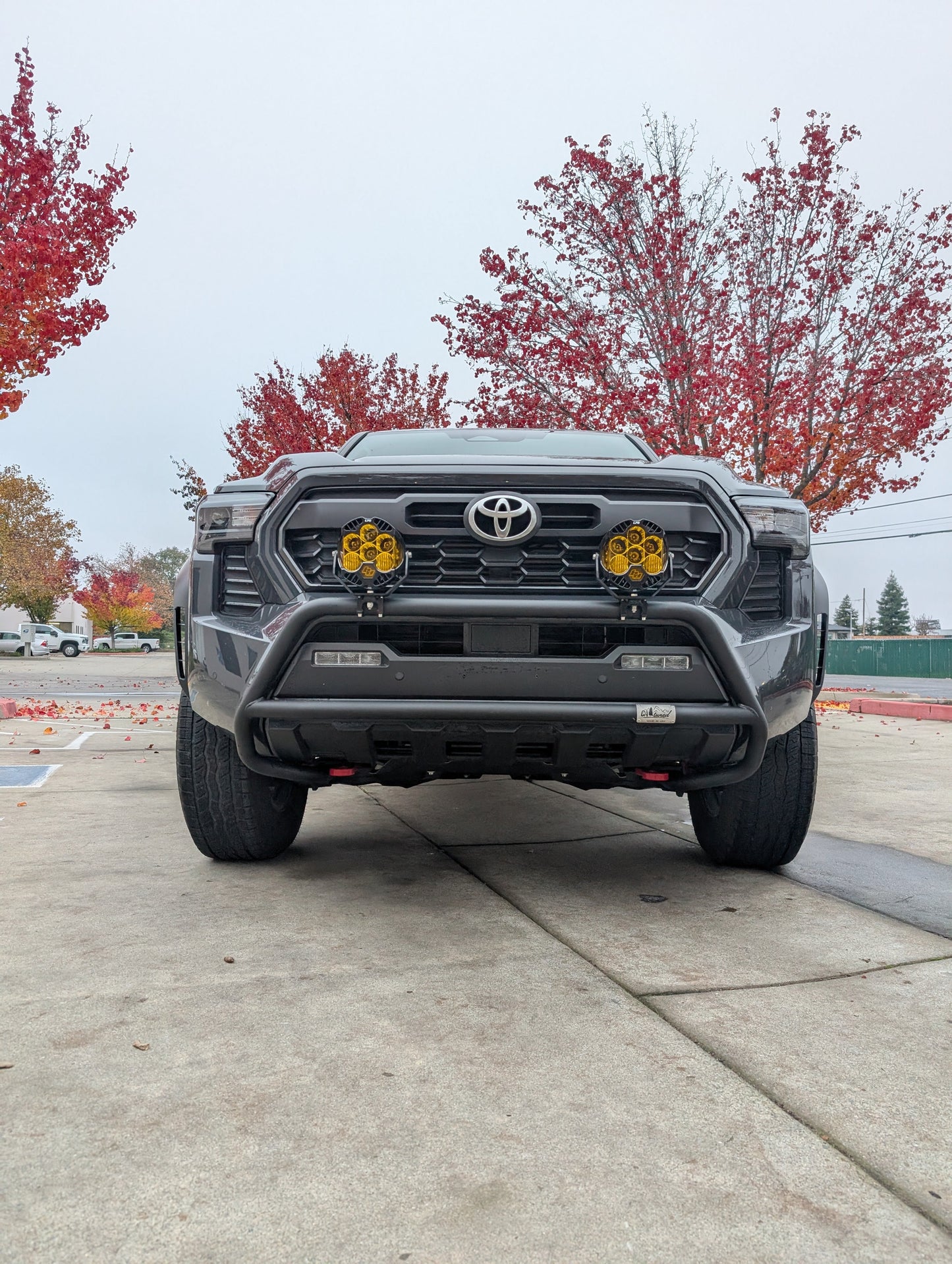 CAtuned Off-Road Toyota Tacoma Brush Bar